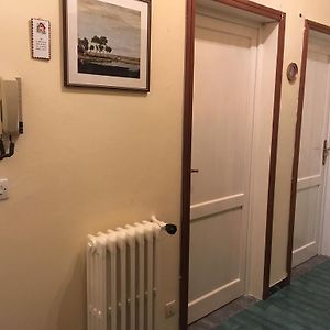 Economy Kamer